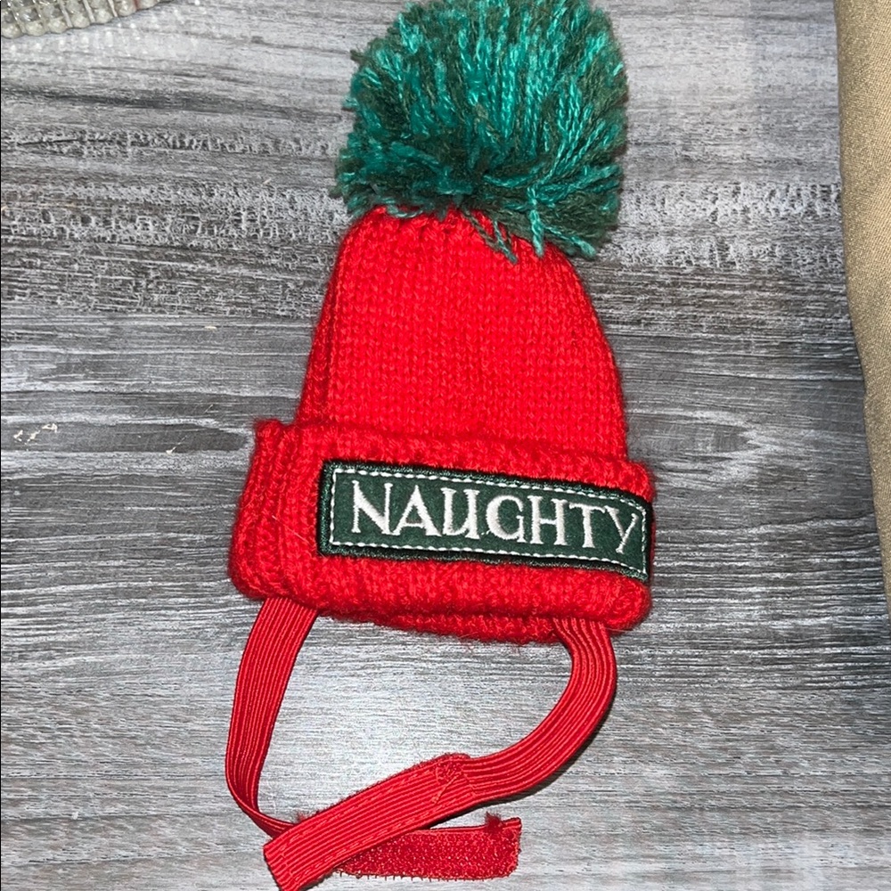 Red and Green Pet Pom-Pom Beanie